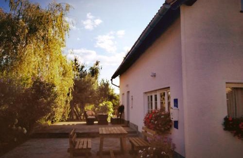 Irinovac House | Guest House First Stop