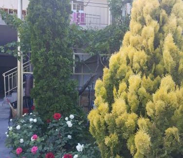 Yeghegnadzor House | Guest house Hasmik