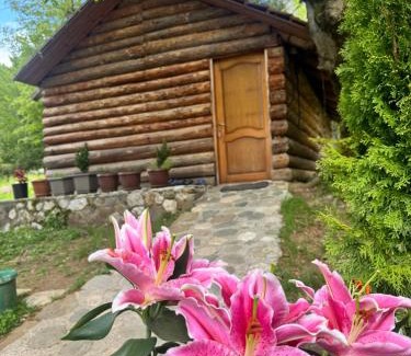 Kukes County Bed & Breakfast | Guest house Hyrmet Demushi