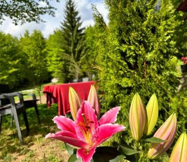 Kukes County Bed & Breakfast | Guest house Hyrmet Demushi
