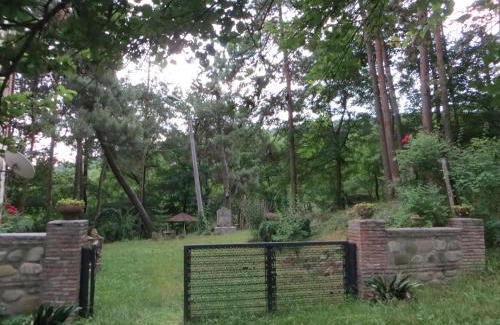 Sighnaghi House | Guest House Kamea