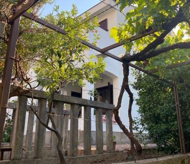 Gospostina House | Guest house Kamelija