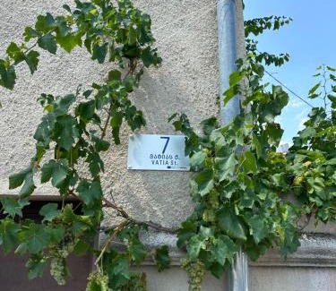 Telavi House | Guest House Kartuli Suli
