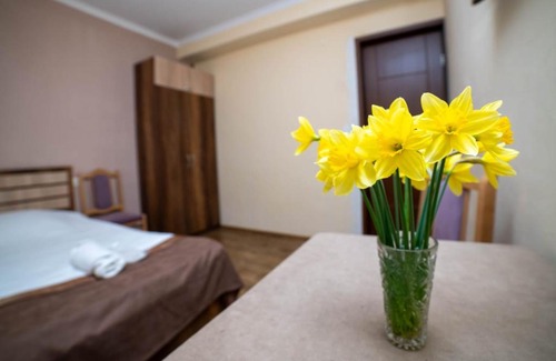 Telavi House | Guest House Kavkasioni 33