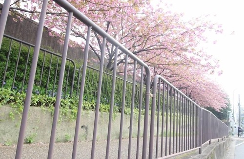 Shimogyo House | (Guest House) Kiyomori no Baika