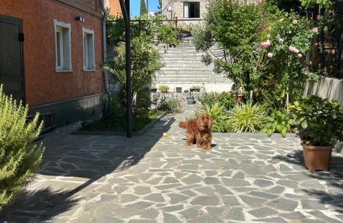 Kutaisi House | Guest House Panda