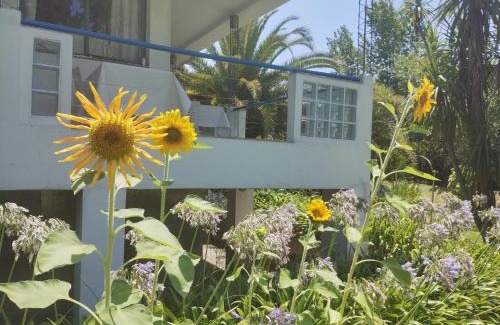 Partido de Tigre House | Guest House Peter Flanders