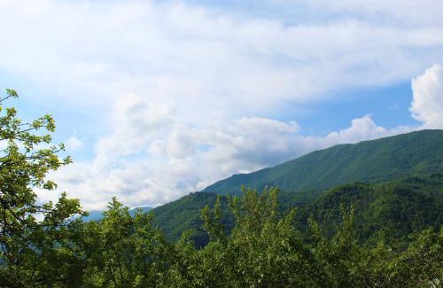 Ambrolauri House | Guest house Racha