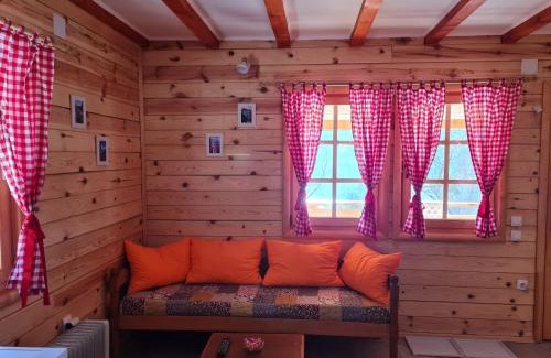 Mokra Gora House | Guest House Rankić