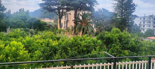 Sant'Agnello House | Guest House Rione Cappuccini