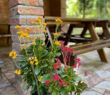 Shekhvetili House | Guest House Shekvetili