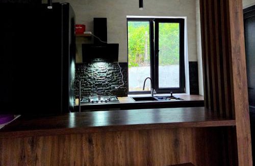 Ambrolauri Apartment | Guest house "Soulmate"