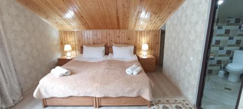 Stepantsminda House | Guest House Tamta