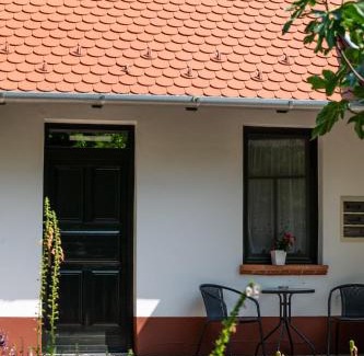 Tabdi House | Guest House Vidravar