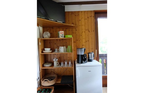 Gutach Apartment | Guest room fir with toilet and shower
