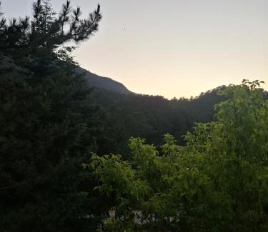 Llogara National Park House | Guesthouse Alberti Llogara