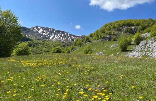 Shkoder County House | Guesthouse Alpini