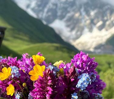 Ushguli House | Guesthouse Divo Hut