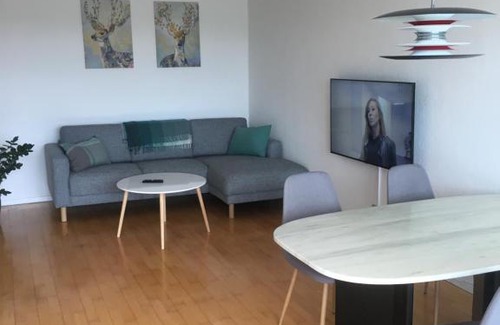 Ega Apartment | Guesthouse Egå