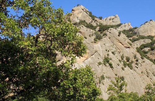 Kalavrita House | Guesthouse Eleftherios