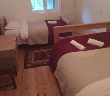 Roshka House | Guesthouse Gama in Khevsureti