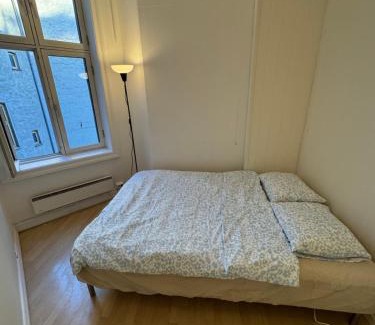 St. Hanshaugen House | Guesthouse Gold Centrum