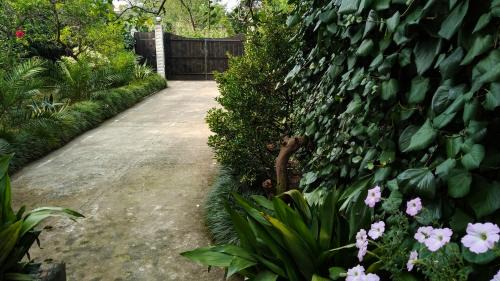 Gonio House | Guesthouse Green Oasis