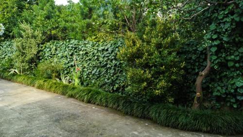Gonio House | Guesthouse Green Oasis