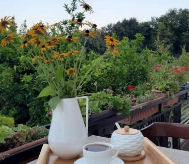 Kutaisi Bed & Breakfast | Guesthouse Hill Side