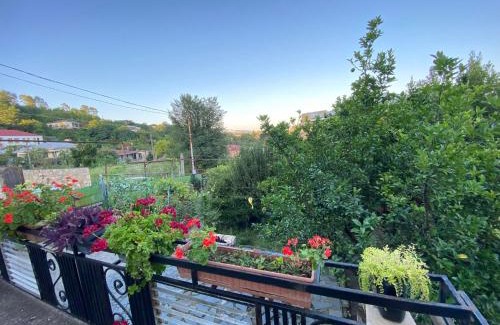 Kutaisi Bed & Breakfast | Guesthouse Hill Side