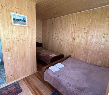 Ushguli Apartment | Guesthouse Ivas
