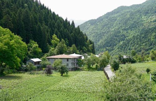 Shuakhevi House | Guesthouse Mareti
