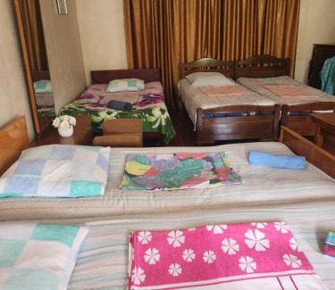 Lagodekhi House | Guesthouse Vashlovani