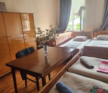 Lagodekhi House | Guesthouse Vashlovani