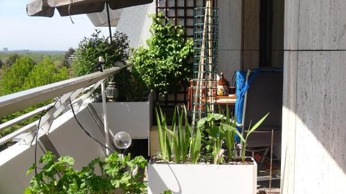 Sachsenhausen-Sud House | Guestroom with wide view and pool near city side, 2nd guest with extra bed possible