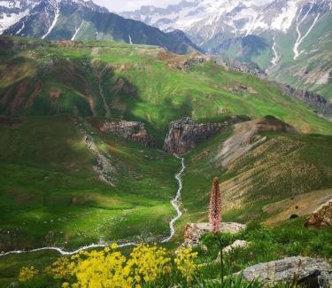 Sughd Province House | Guldara Guest House