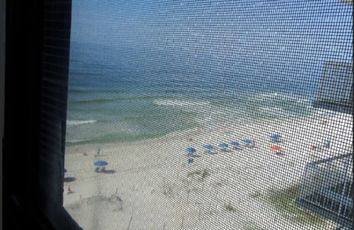 Gulf Shores Condo | Gulf Tower- Gulf Shores, Al. Gulf front unit.June 28 to Aug. 2 - Sat. to Sat.