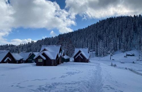 Srinagar Hotel | Gulmarg Woods By Stay Pattern