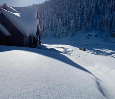 Srinagar Hotel | Gulmarg Woods By Stay Pattern