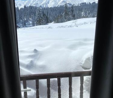Srinagar Hotel | Gulmarg Woods By Stay Pattern
