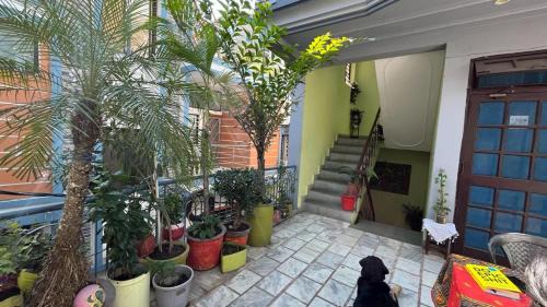 Tapovan House | Gungun Homestay