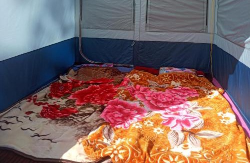Gulmarg Other | Gurez camping