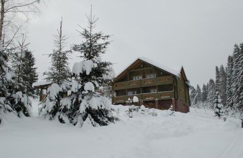 Yablunytsya Cabin | GUTSULWOOD