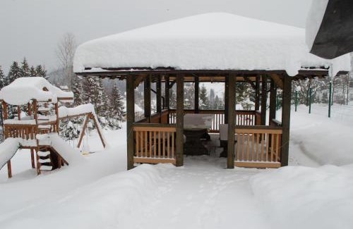 Yablunytsya Cabin | GUTSULWOOD