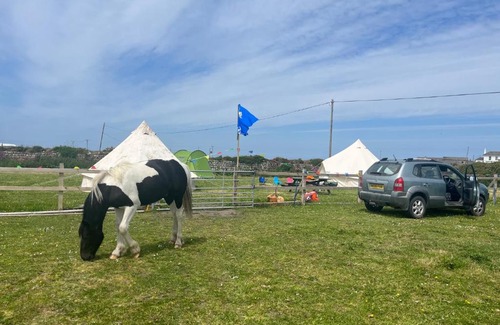 St Just Other | Gwens Garden bell tent