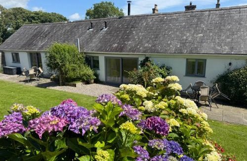 Llangaffo House | Gwyllt Cottages