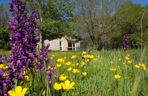 Cuxac-Cabardes Ski Chalet | Hébergement Nature à 25 Minutes de Carcassonne