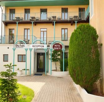 Faverges-Seythenex Hotel | Hôtel de Genève et Restaurant , Faverges-Seythenex