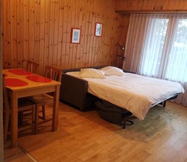 Ovronnaz Hotel | Hôtel Les Bains d'Ovronnaz