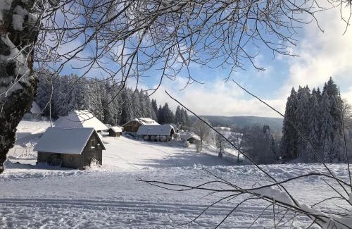 Furtwangen House | Höhengasthaus Kolmenhof an der Donauquelle